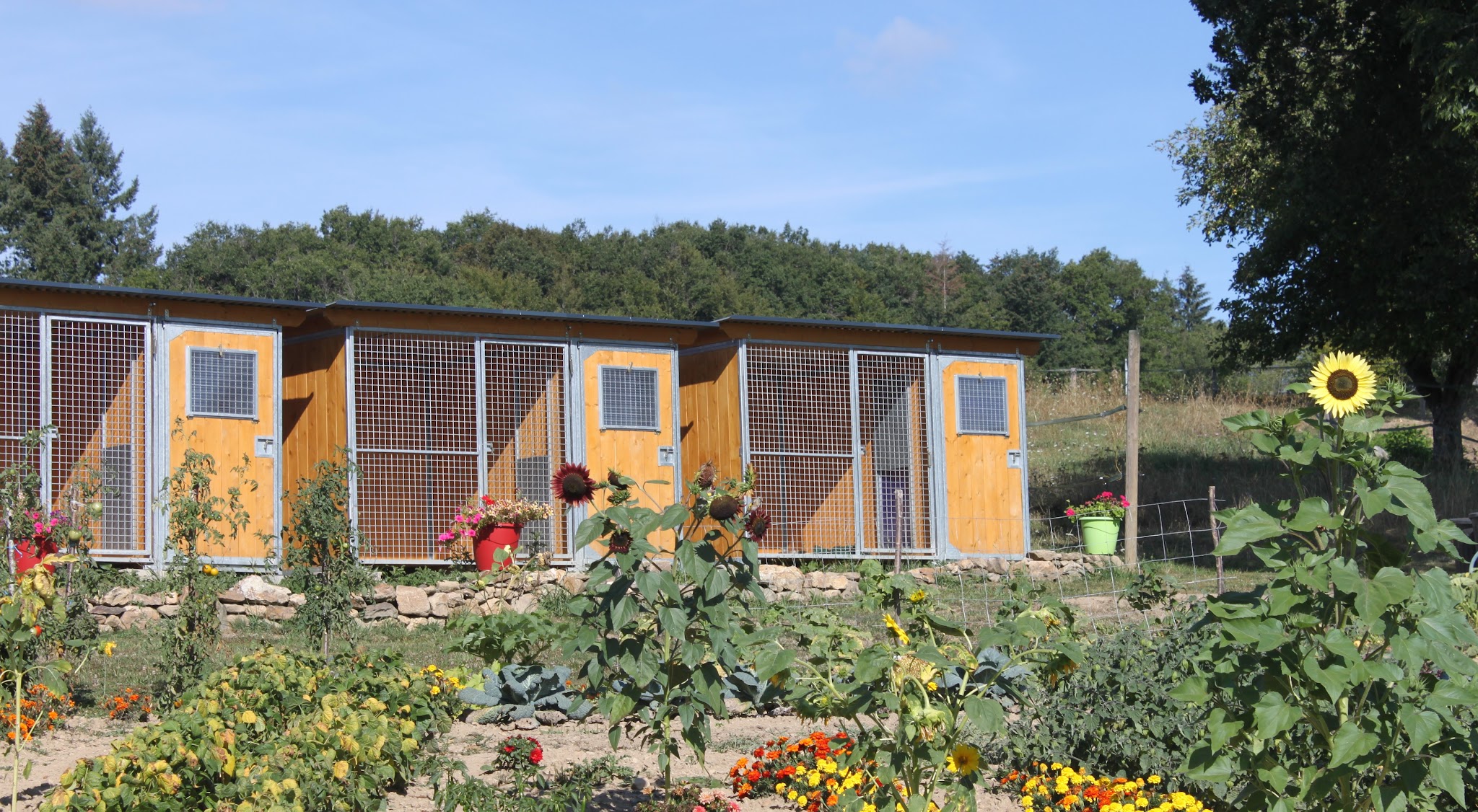 Pension et Education Canine de la Ganne de Fer