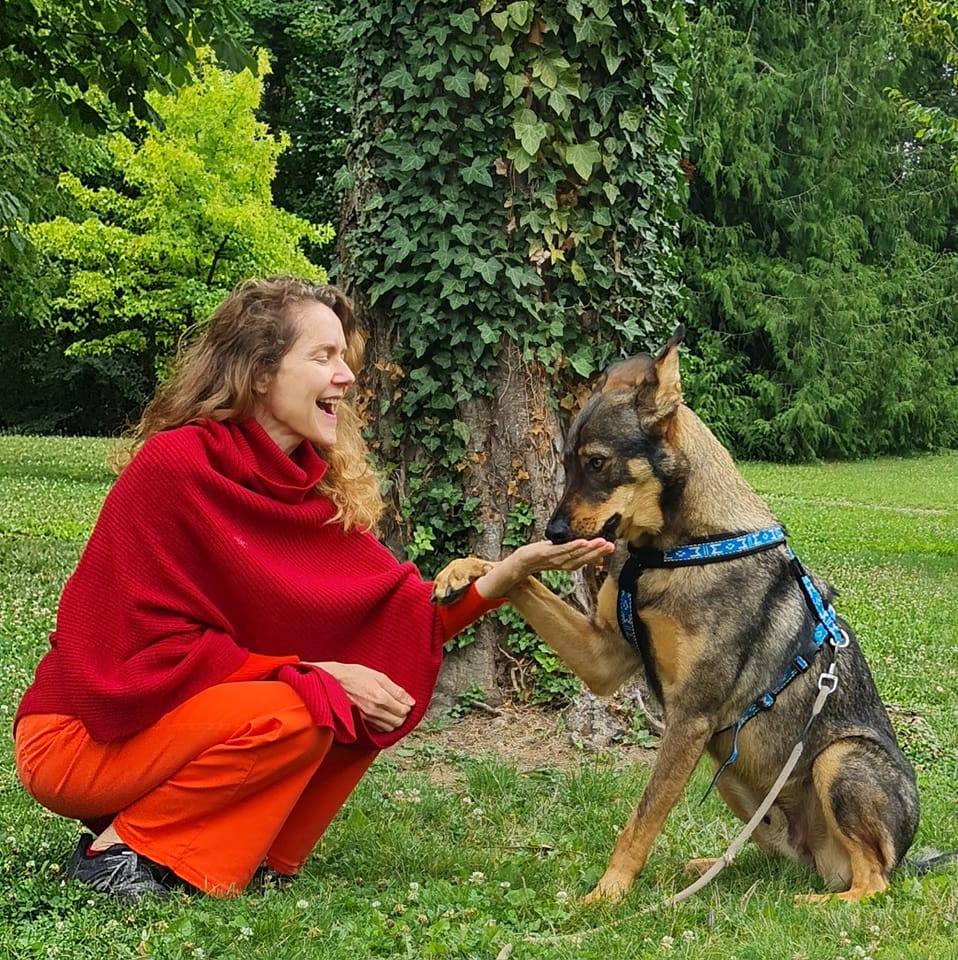 Mon compagnon est un VIP — photo