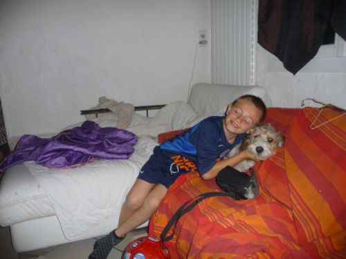 Familicanin — photo