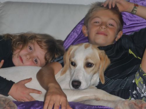 Familicanin — photo