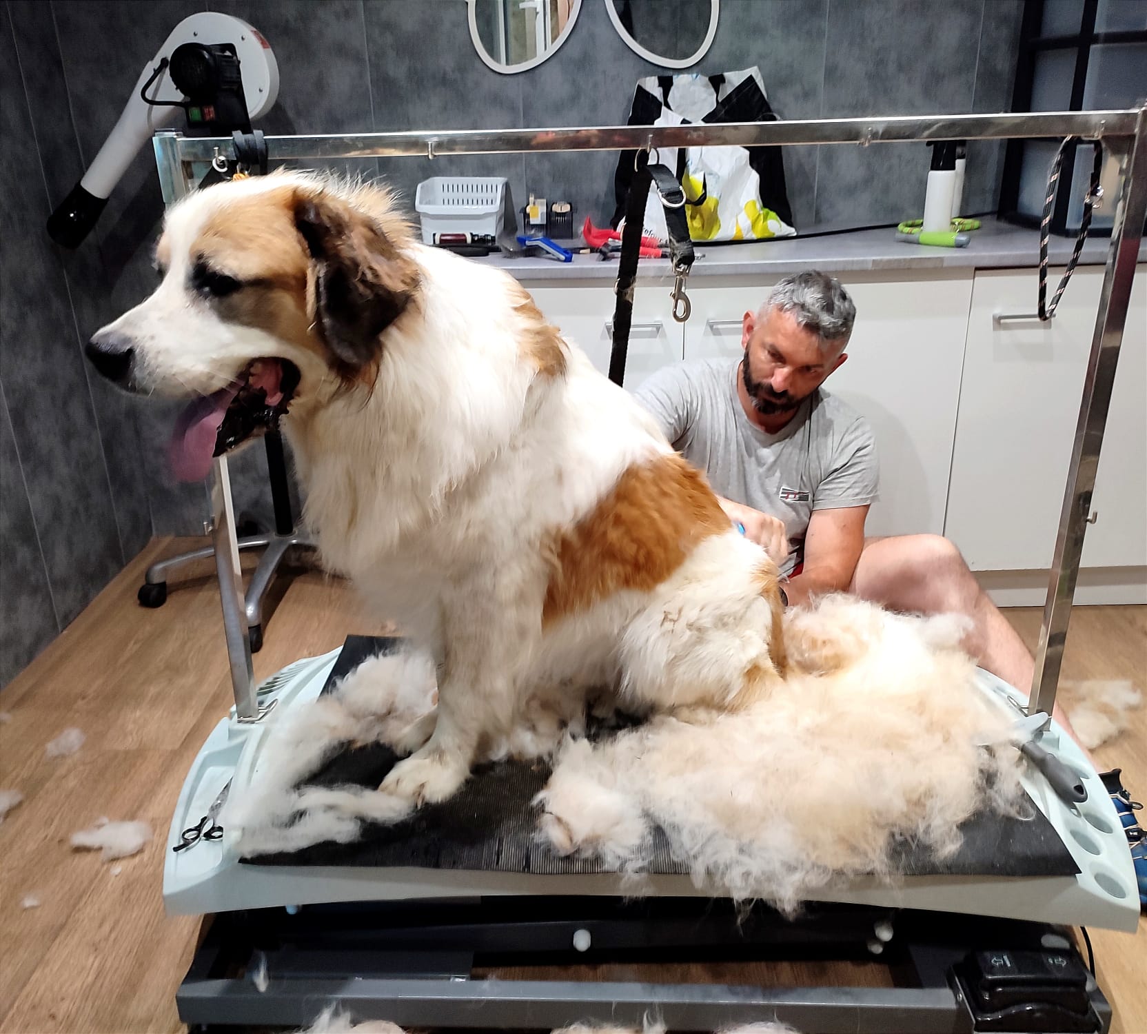 La Pita - Pension Canine - Toiletteur — photo