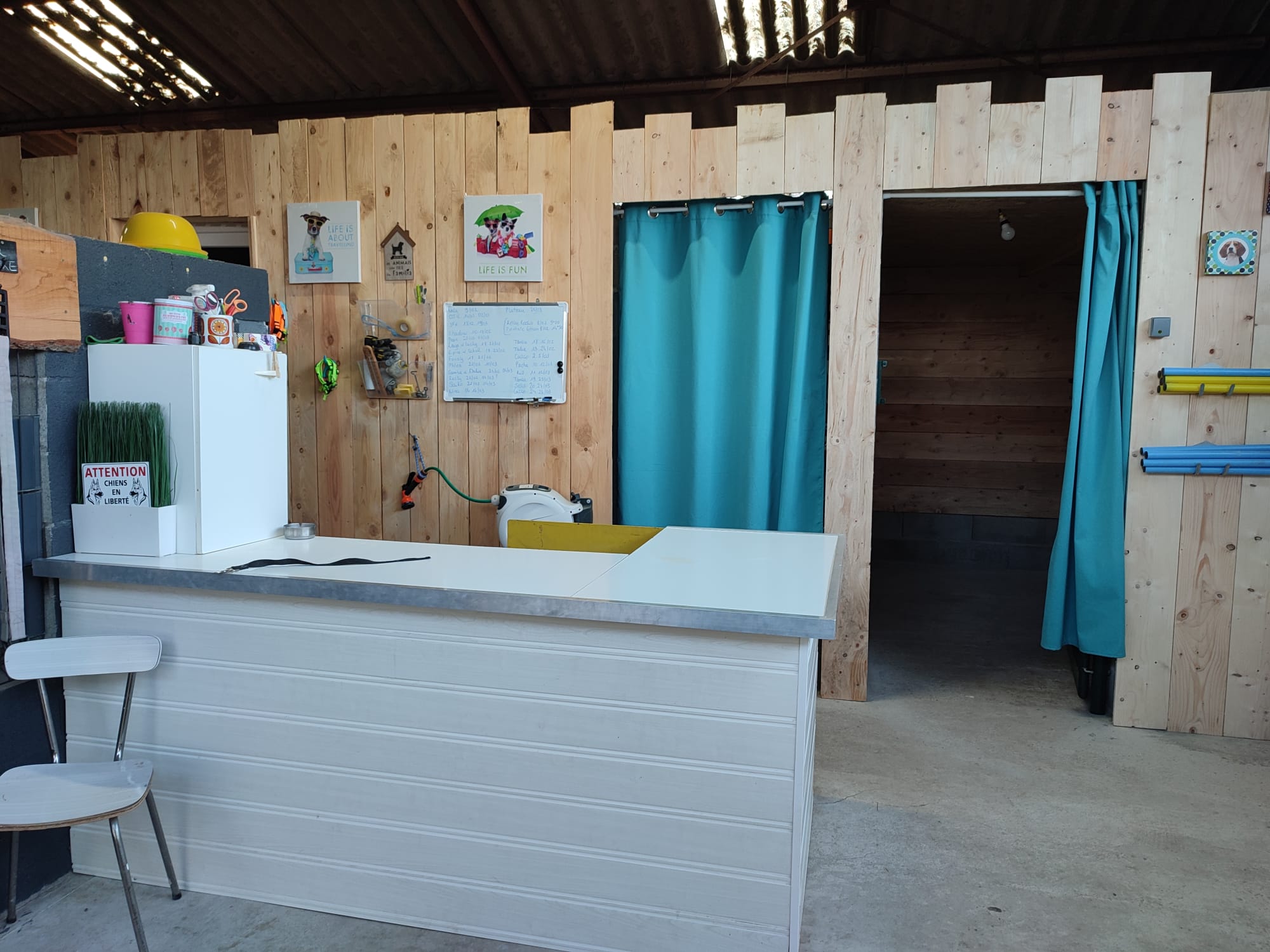 La Pita - Pension Canine - Toiletteur — photo