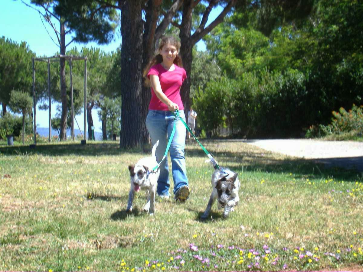 Petsitter33 — photo