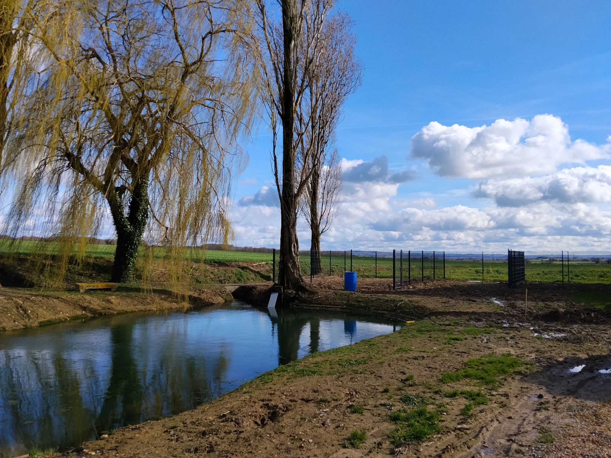 PENSION CANINE DU GRAND MESLIN — photo