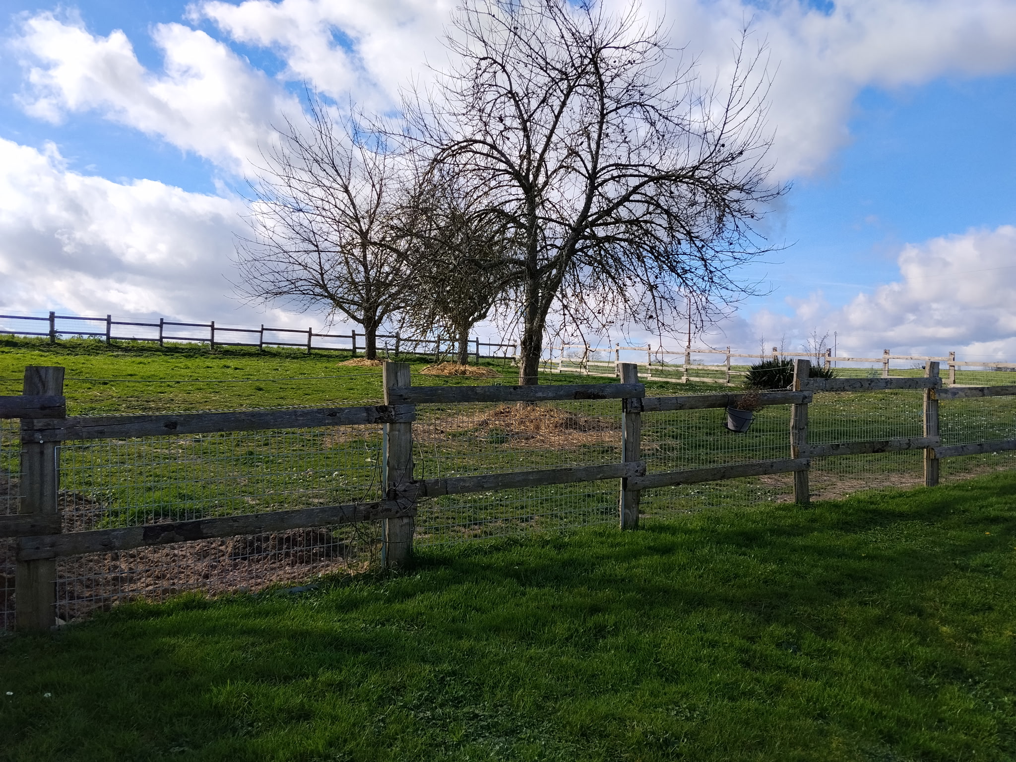PENSION CANINE DU GRAND MESLIN — photo