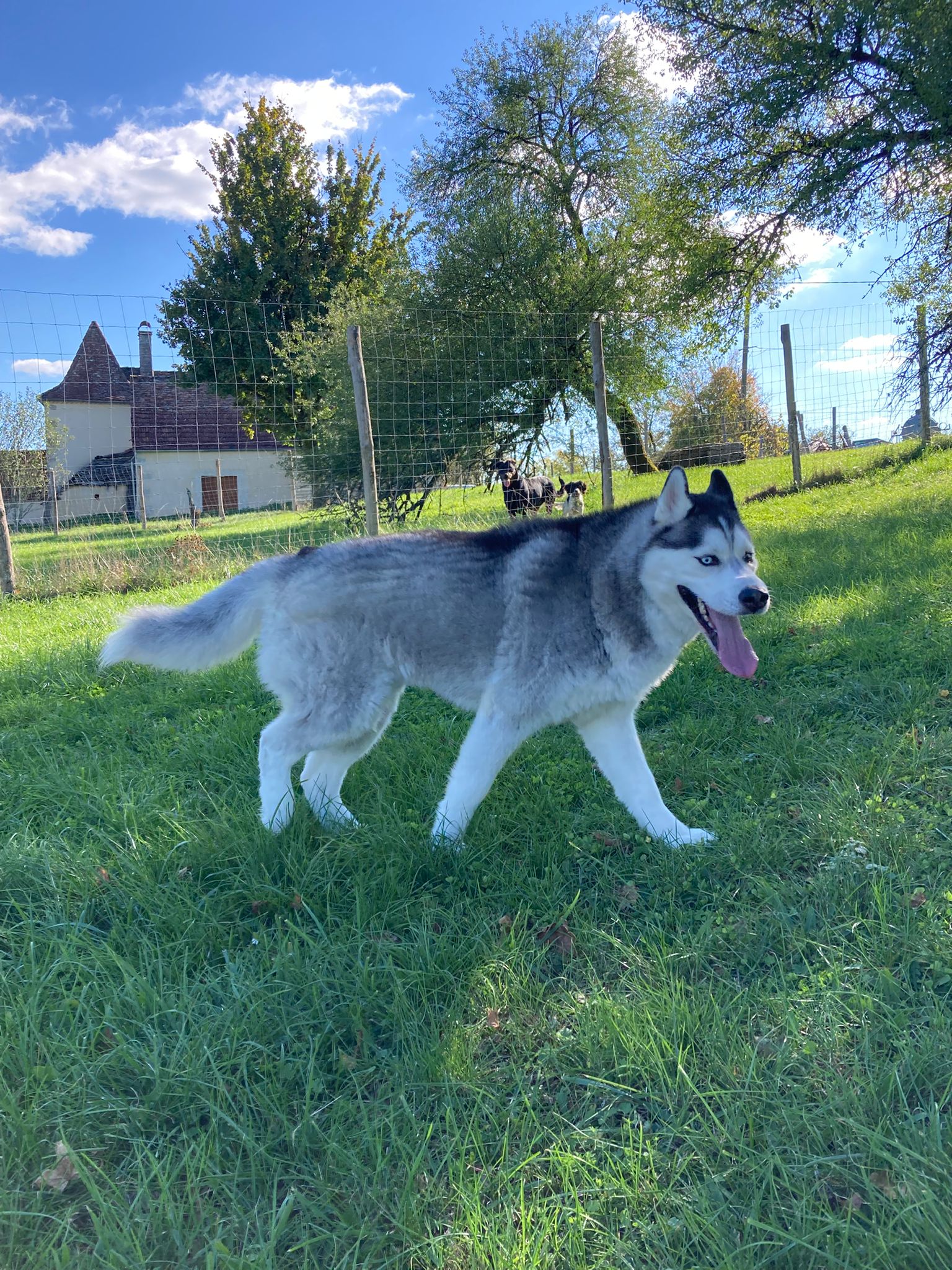 La Ferme du Buy — photo