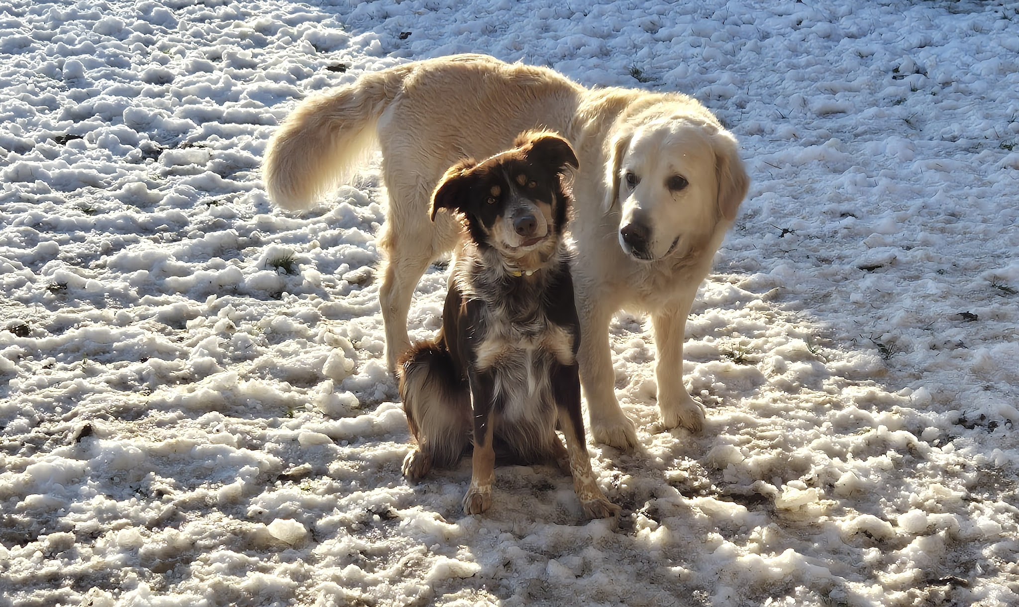 PATT'ATI ET PATT'ATA — photo