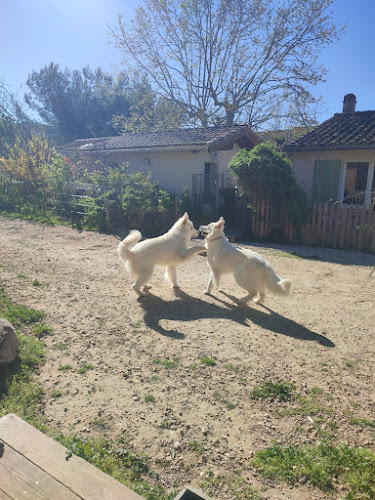 Les Animaux d'Elodie