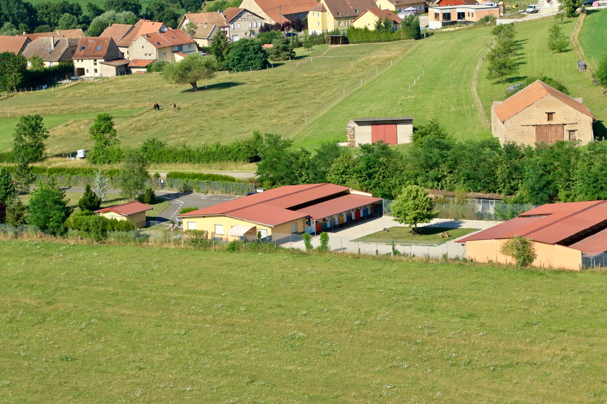 EDUCANIN — photo
