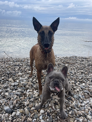 Capferratpetsitting