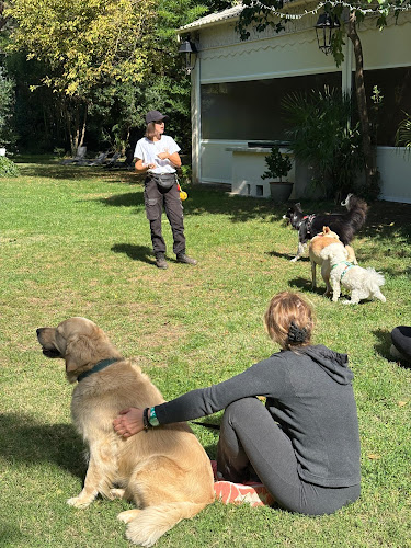Eléonore Counord - Educateur Canin Comportementaliste & Petsitter - Diplomée - Autour de Montpellier