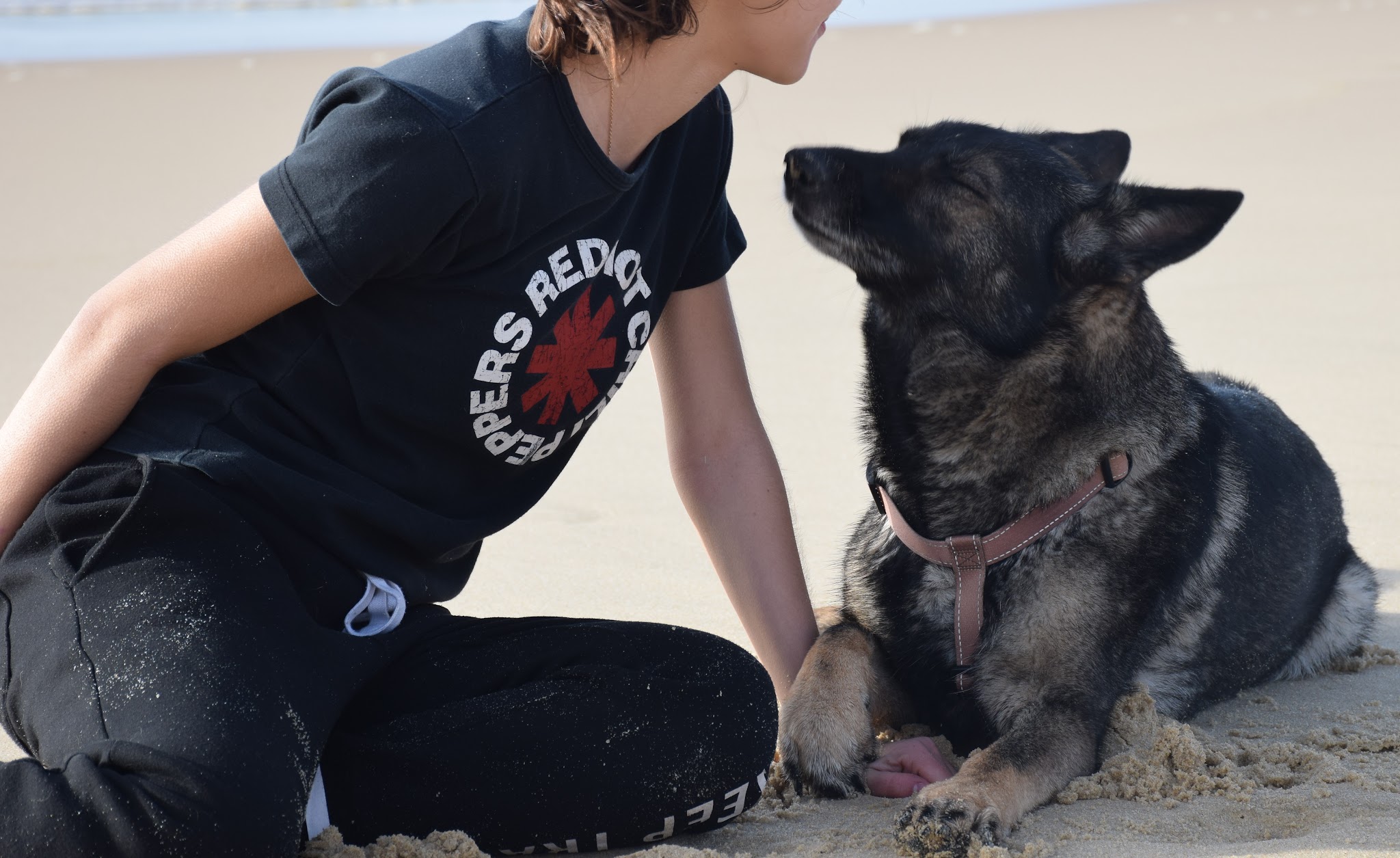 Eléonore Counord - Educateur Canin Comportementaliste & Petsitter - Diplomée - Autour de Montpellier — photo