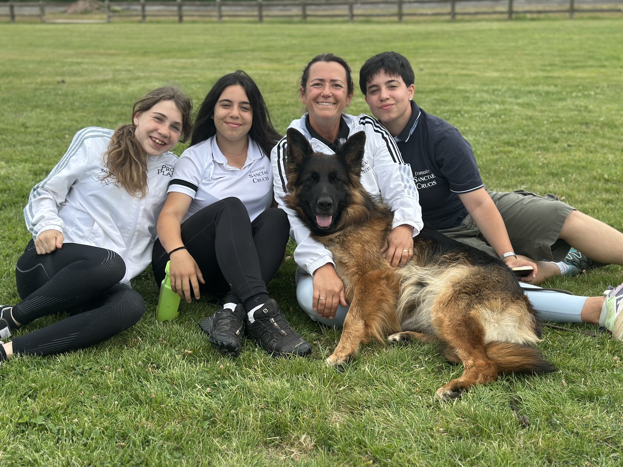 Domaine de Sanctae Crucis : Élevage de Berger Allemand et pension canine dans le Haut-Rhin en France