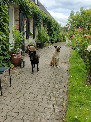 Garde d'animaux Florence MALLET