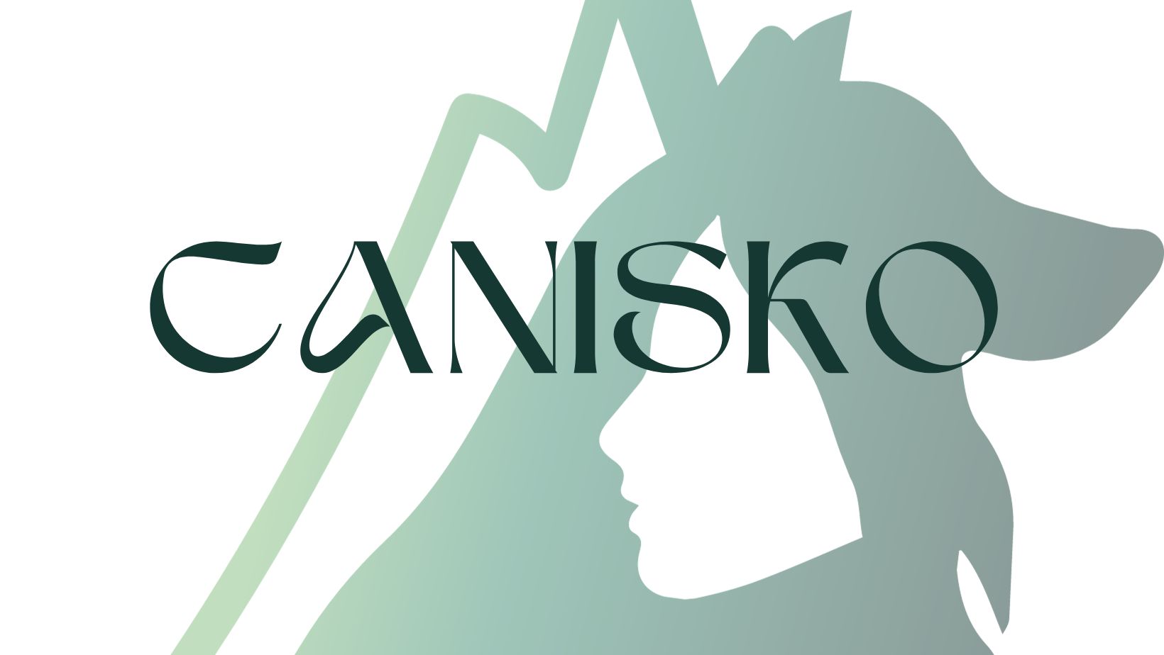 Canisko — photo