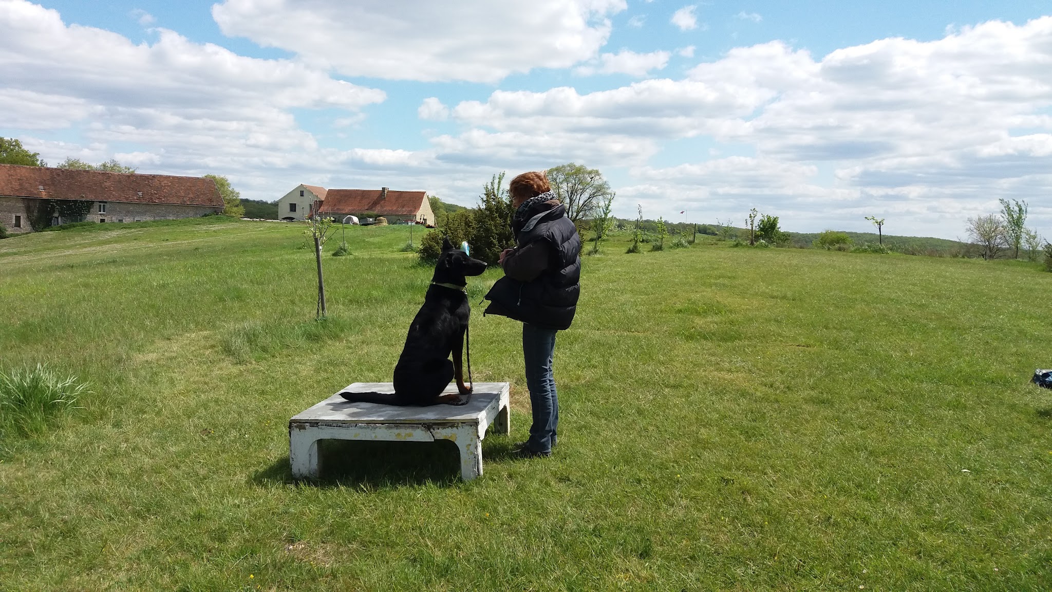 LAMICHIEN, pension canine — photo