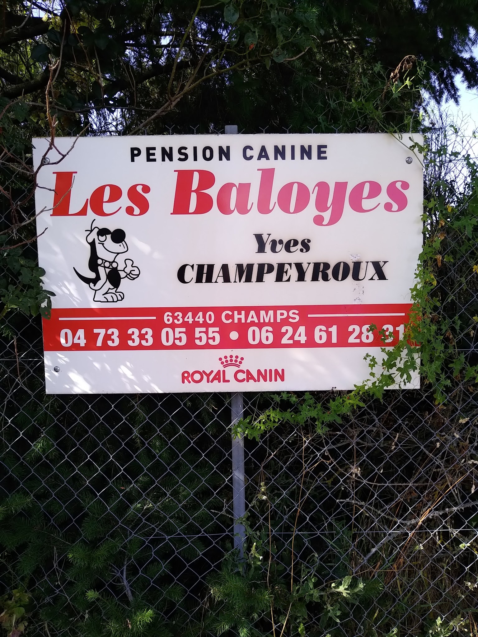 Champeyroux Yves Pension Canine les Baloyes — photo