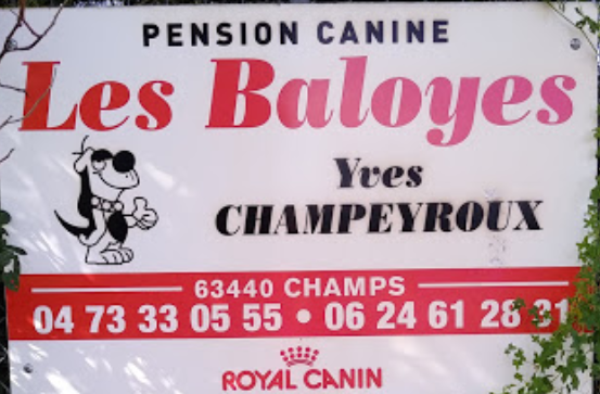 Champeyroux Yves Pension Canine les Baloyes — photo