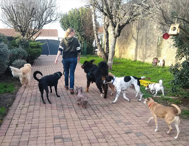 Au Doux Canin - Les Sables d'Olonne