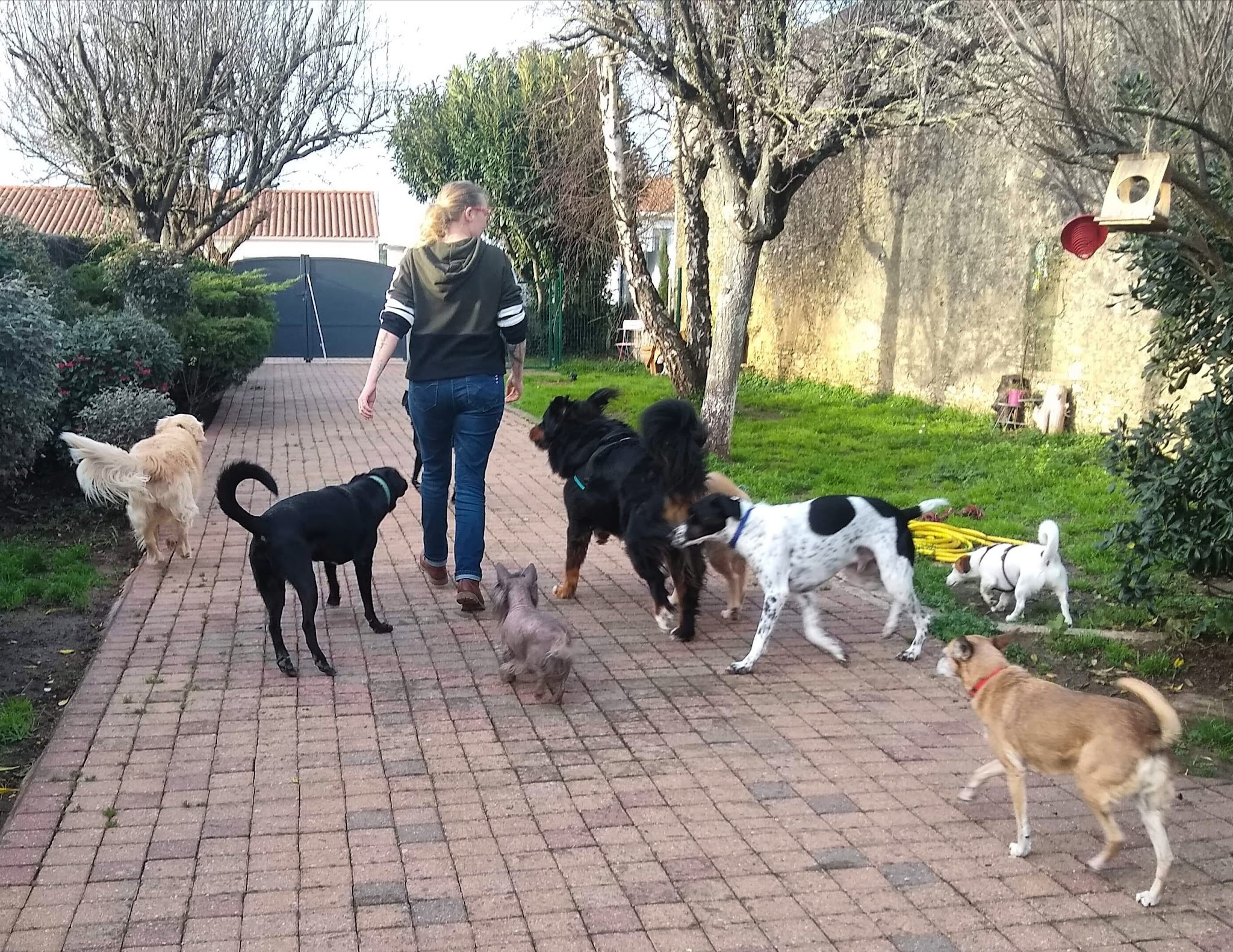Au Doux Canin - Les Sables d'Olonne — photo
