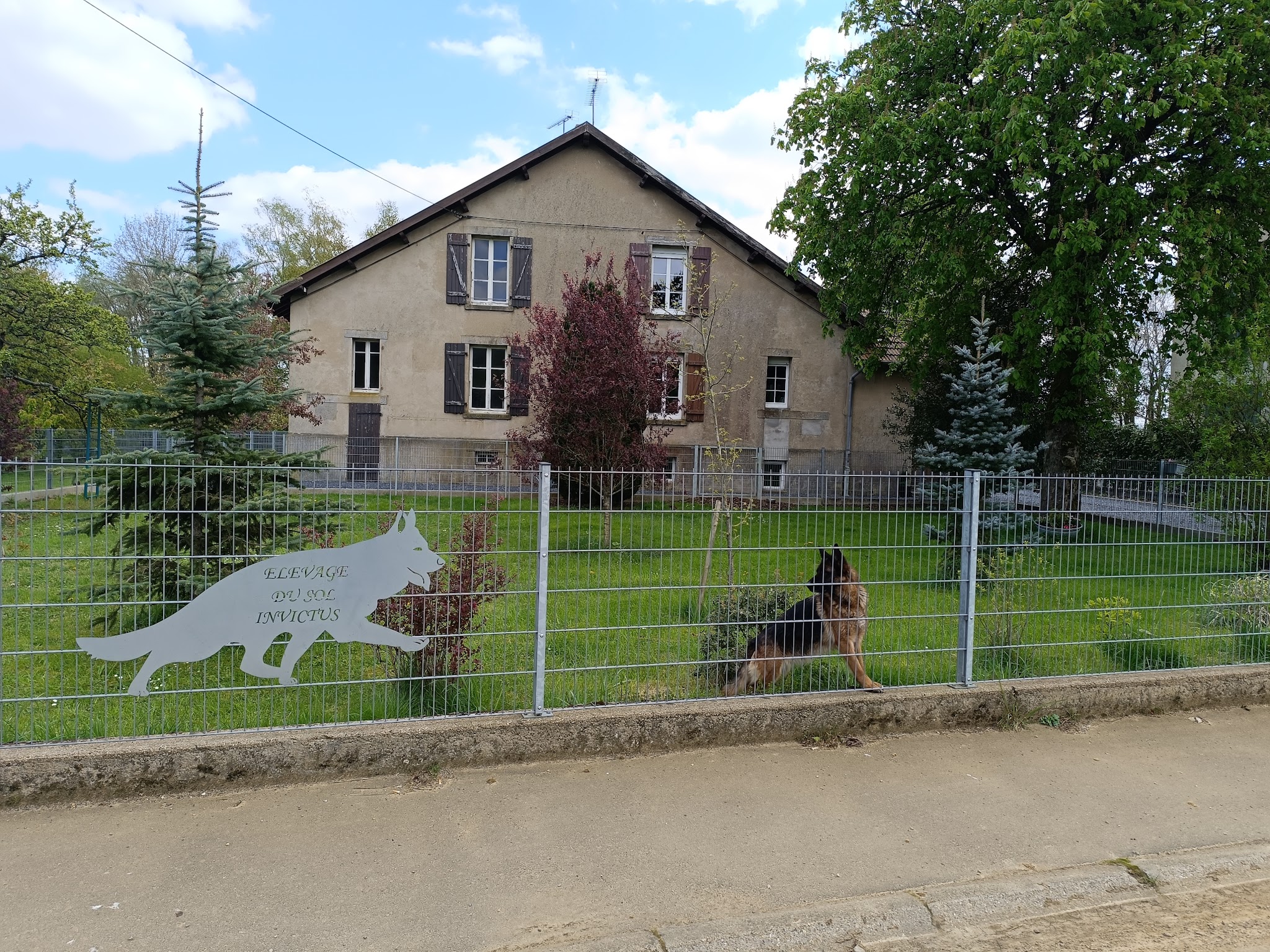 Pension pour chiens — photo