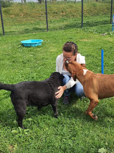 Pension pour chien à la ferme de la motte