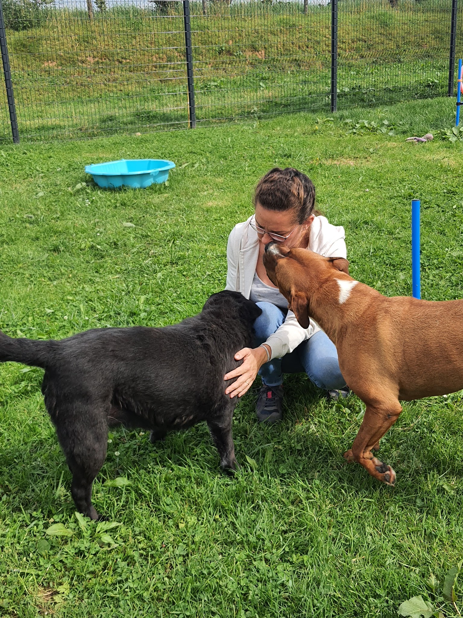 Pension pour chien à la ferme de la motte — photo
