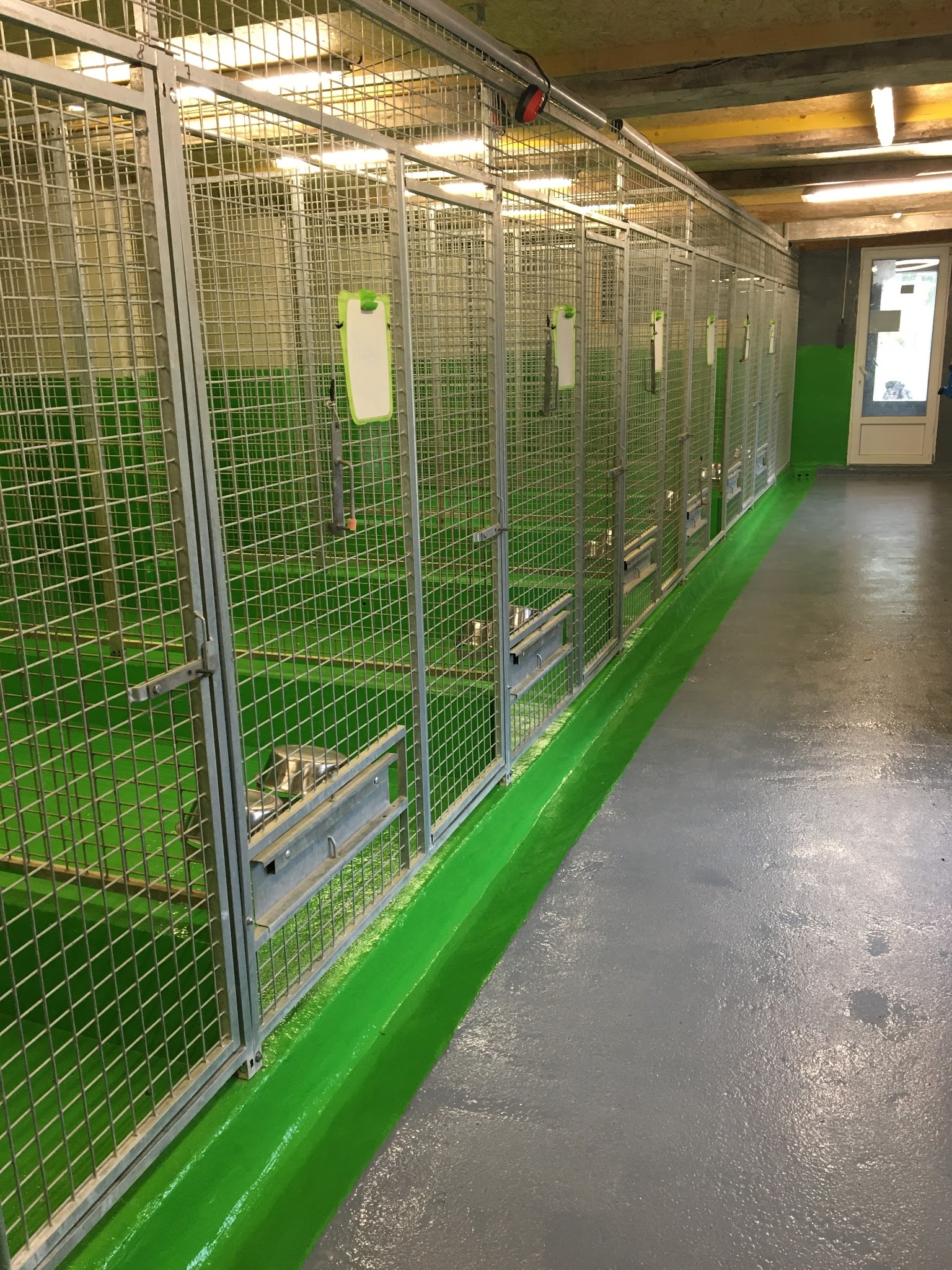 Pension pour chien à la ferme de la motte — photo