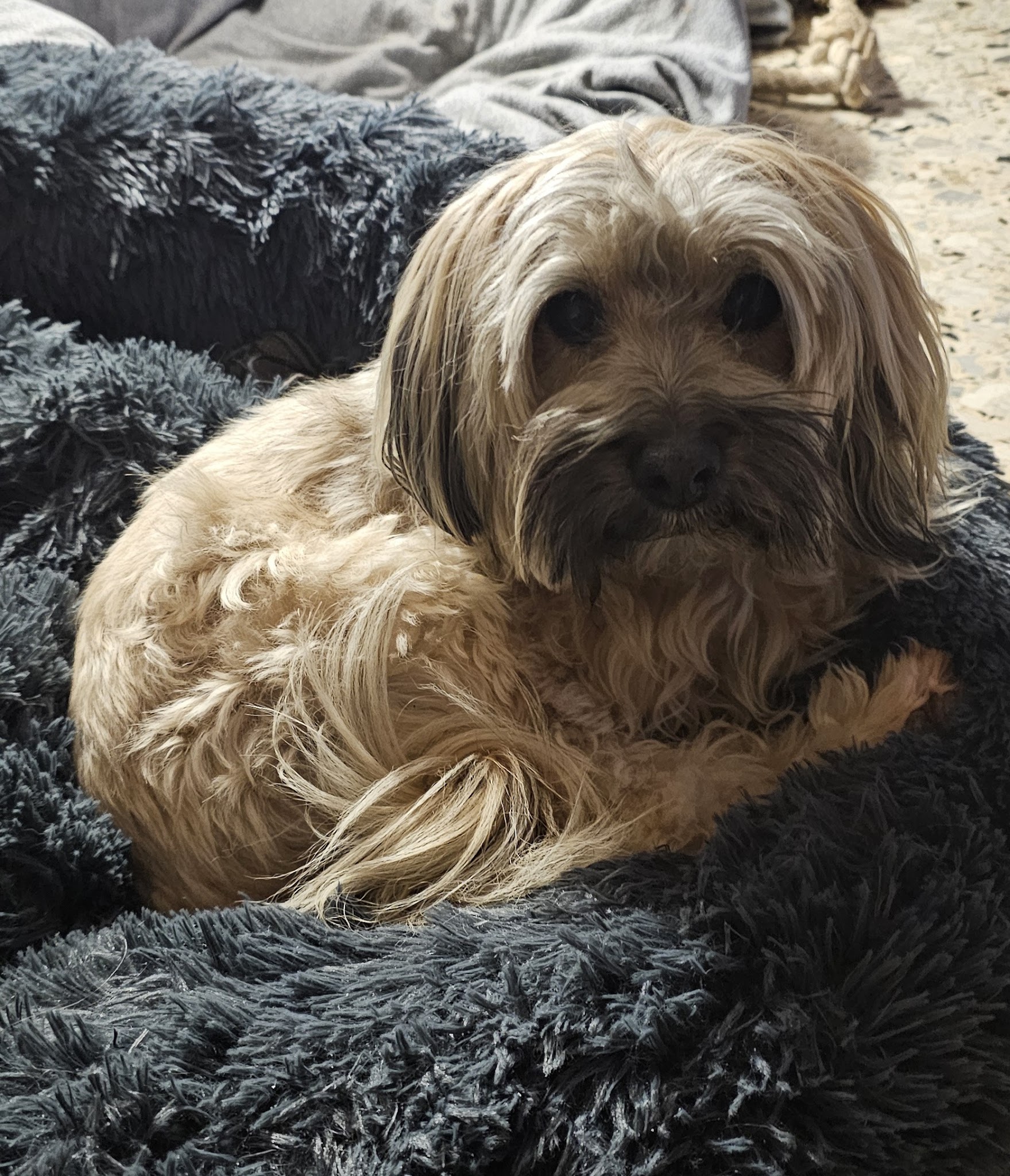 Sandy's Family — photo