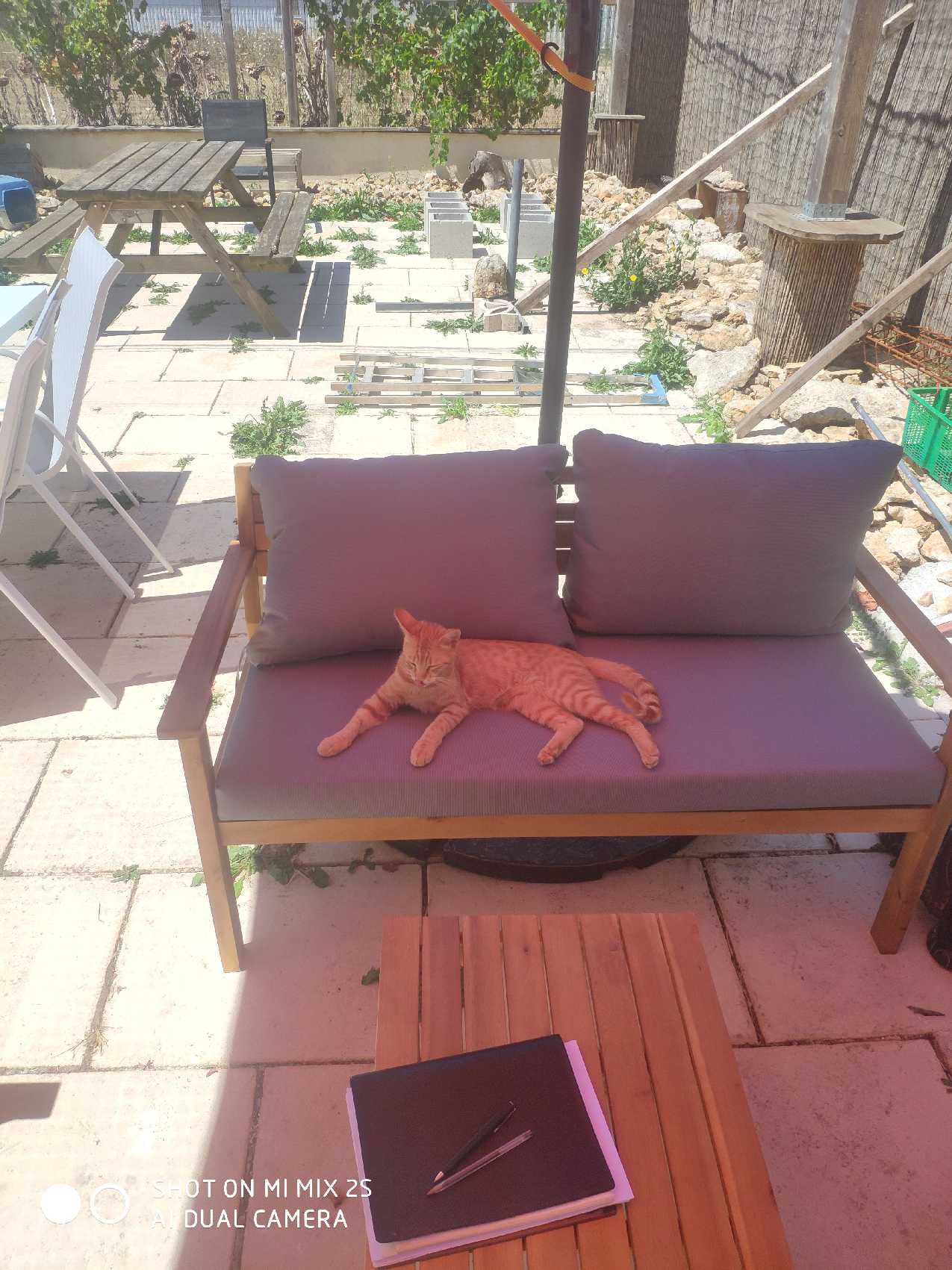 ZOOHOTEL — photo