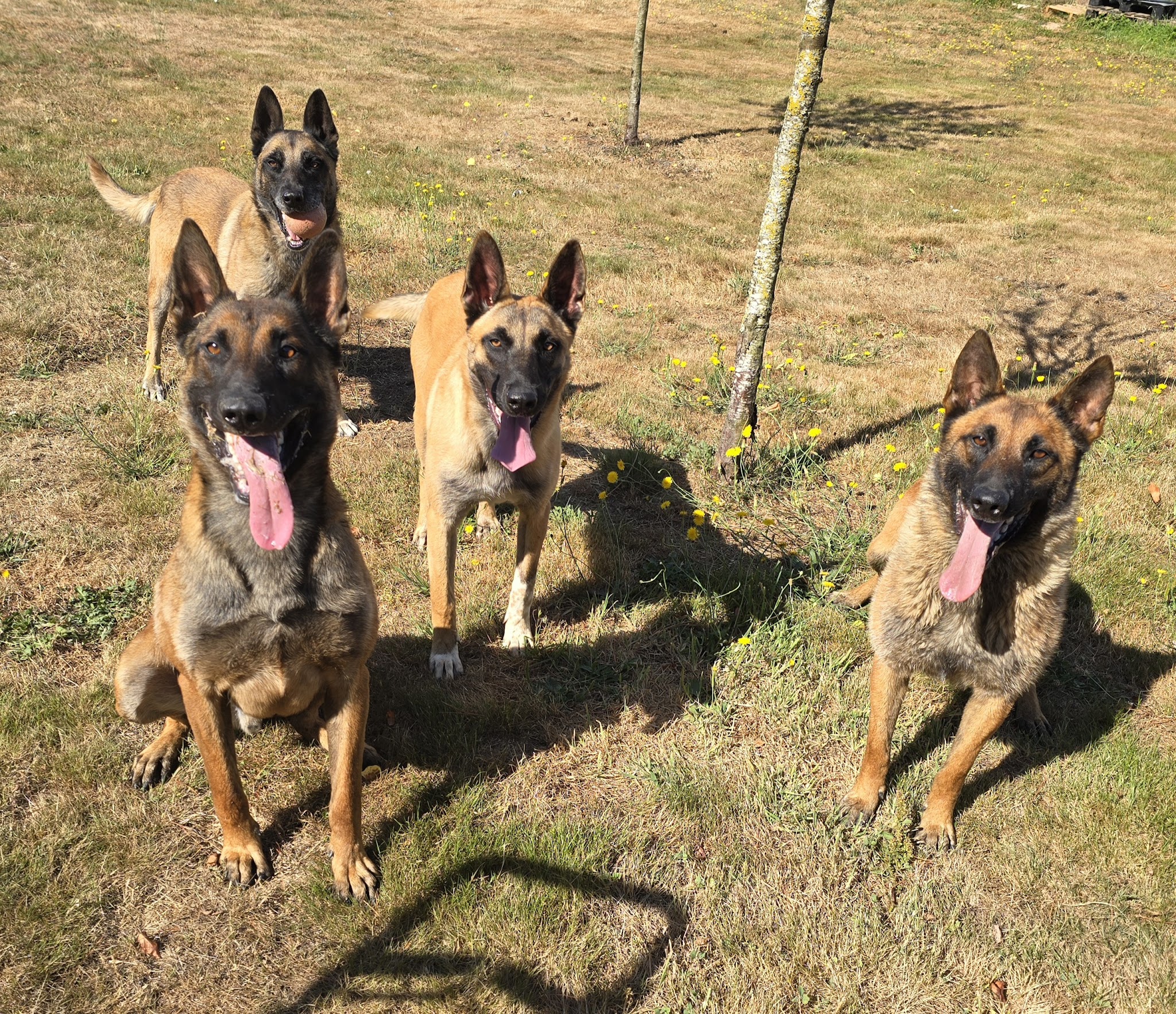 Cani Family — photo