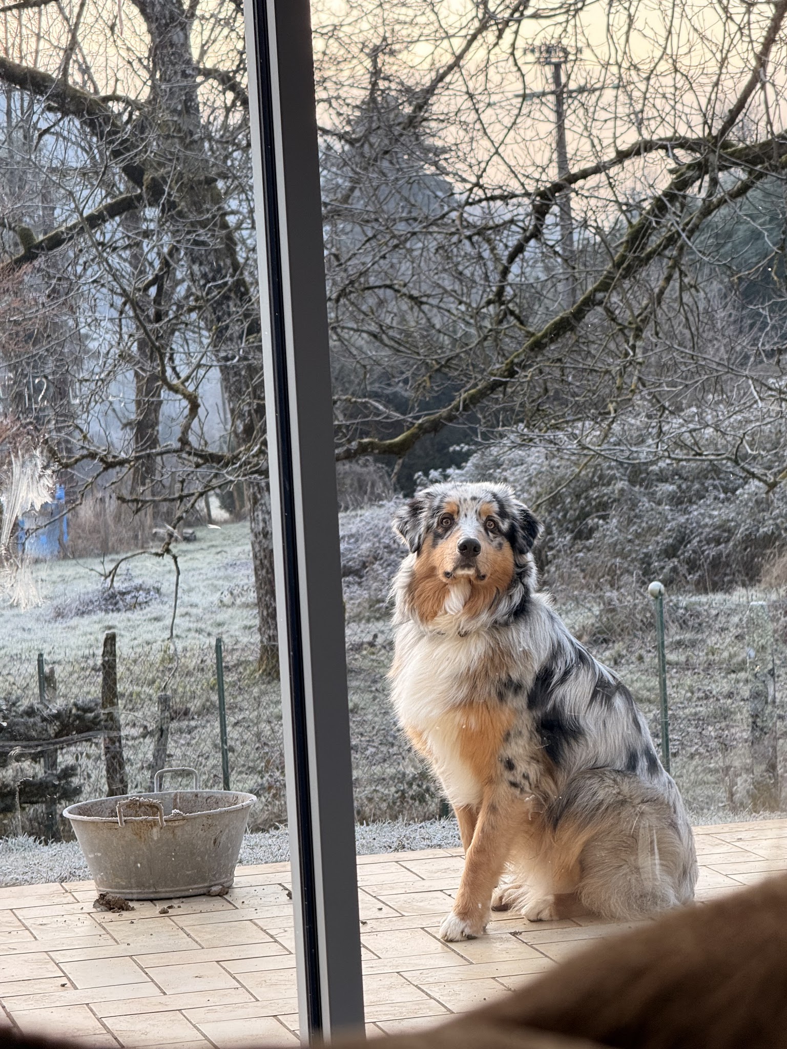 Nature en Pattes - Éducateur & Comportementaliste canin — photo