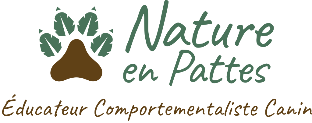 Nature en Pattes - Éducateur & Comportementaliste canin
