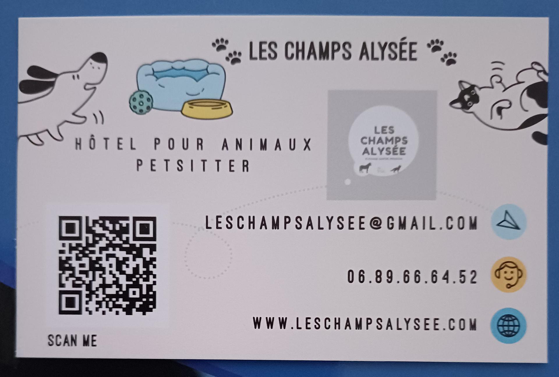 Les Champs Alysée — photo