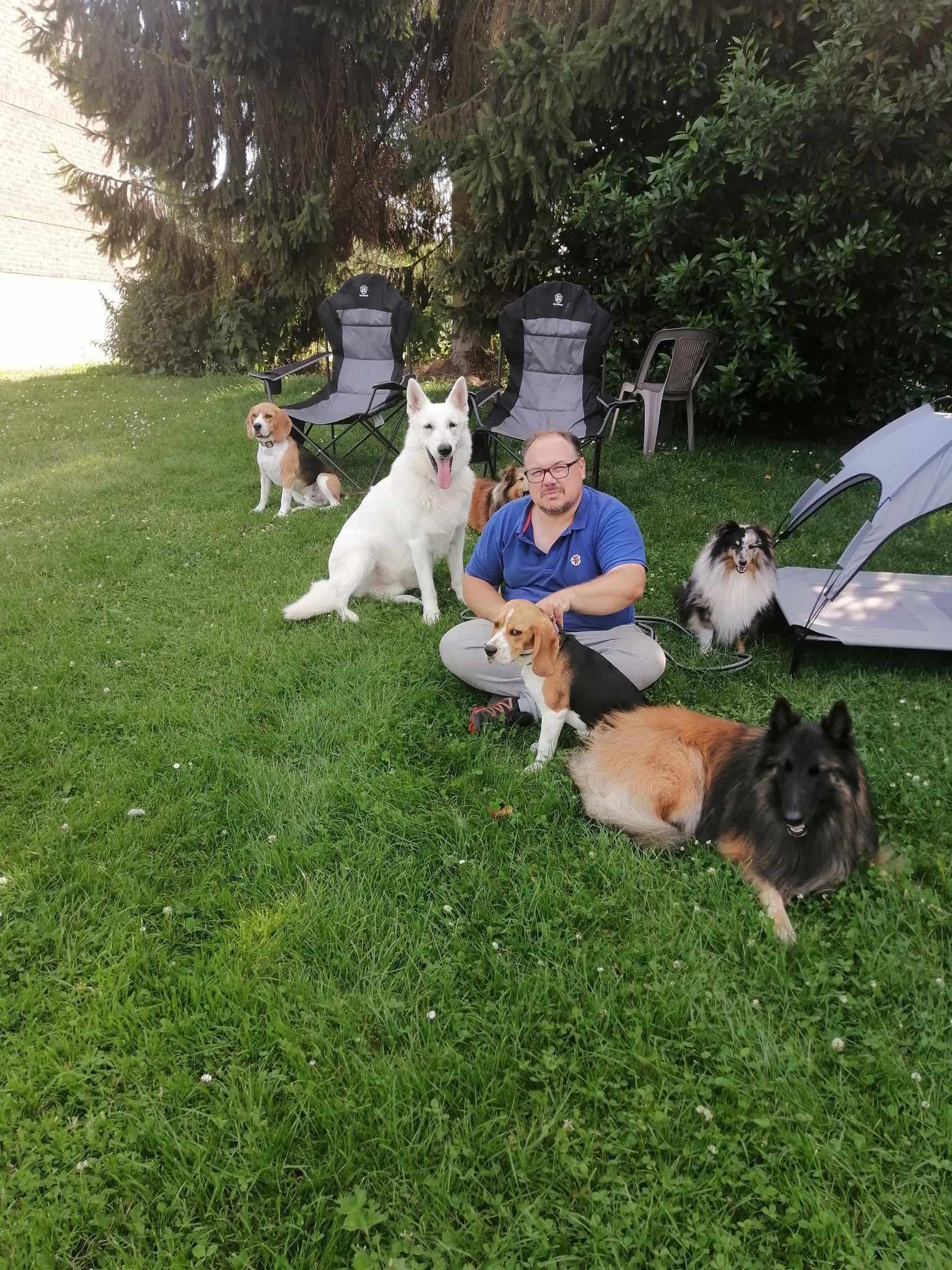 Pension canine "FAMILY DOGS comme à la maison"