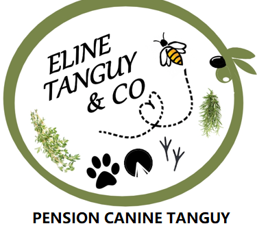 Pension Canine Tanguy — photo