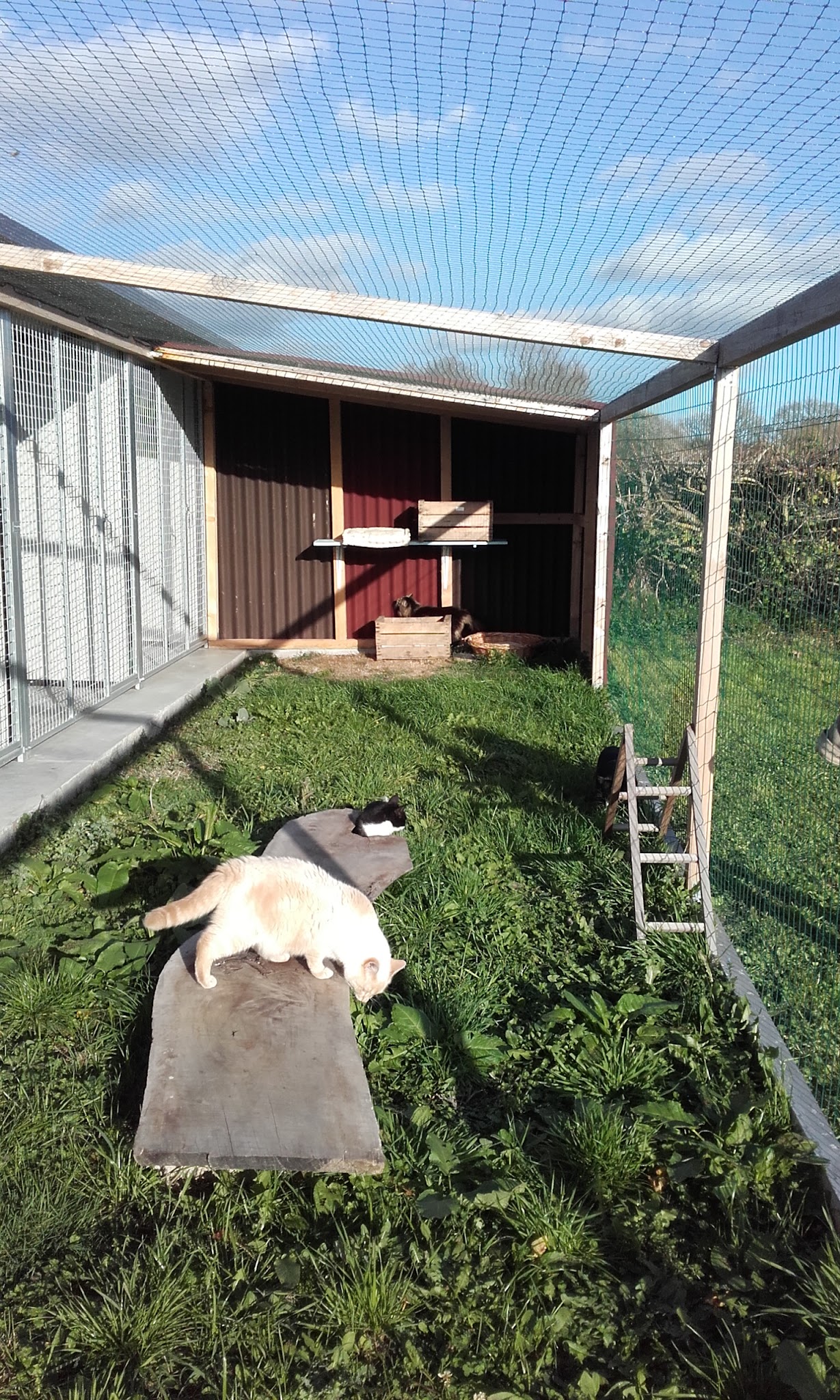 Le Domaine d'Asko & Cie — photo