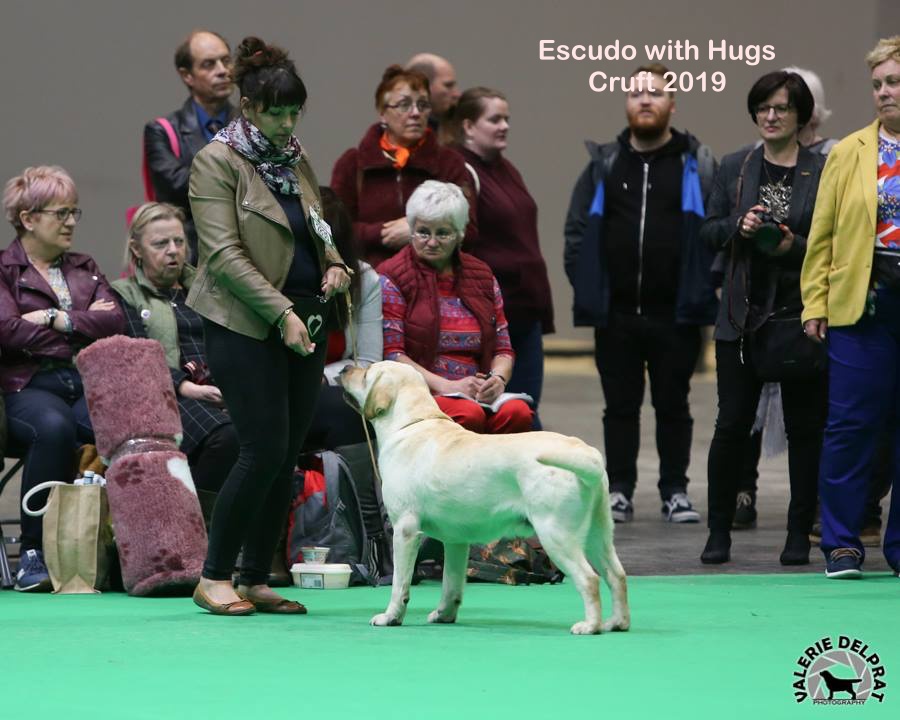Elevage de Labradors des Vergers de Taly