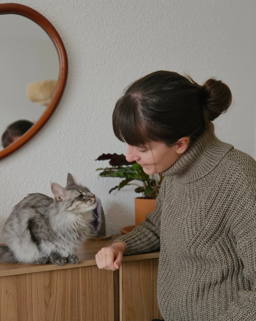 Mironron - Catsitter — photo