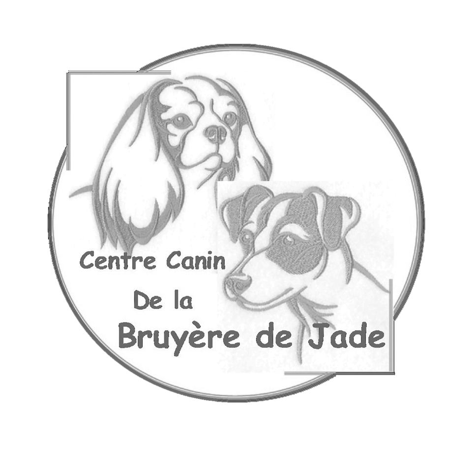 centre canin de la bruyère de jade — photo
