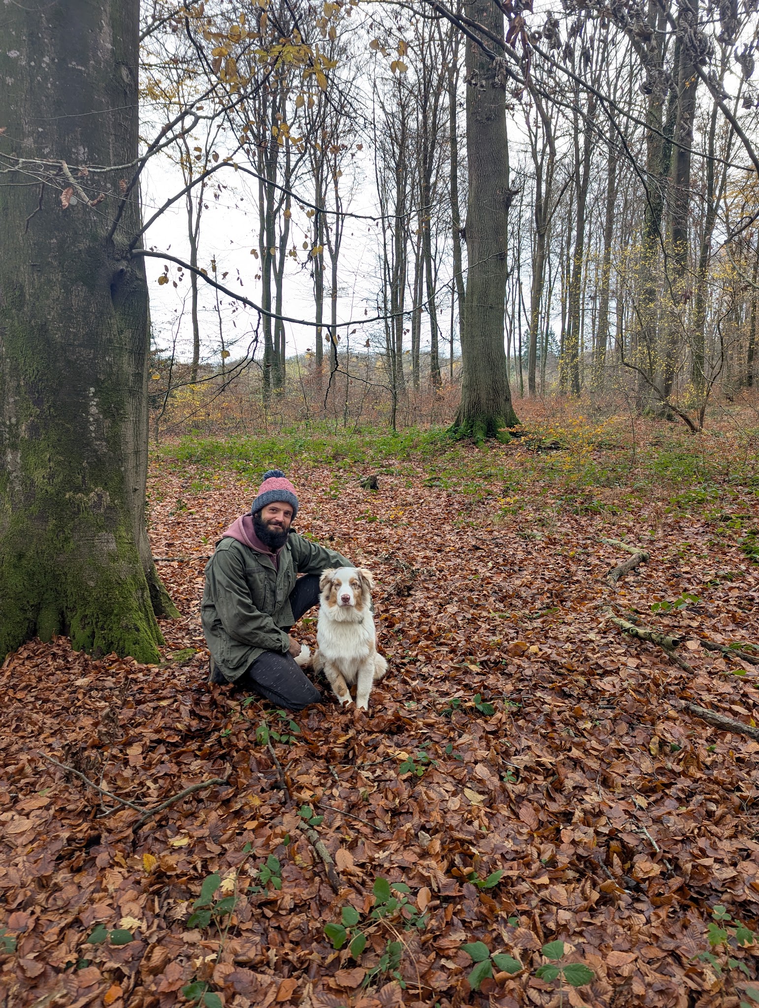 Dog sitting By ė Marcel