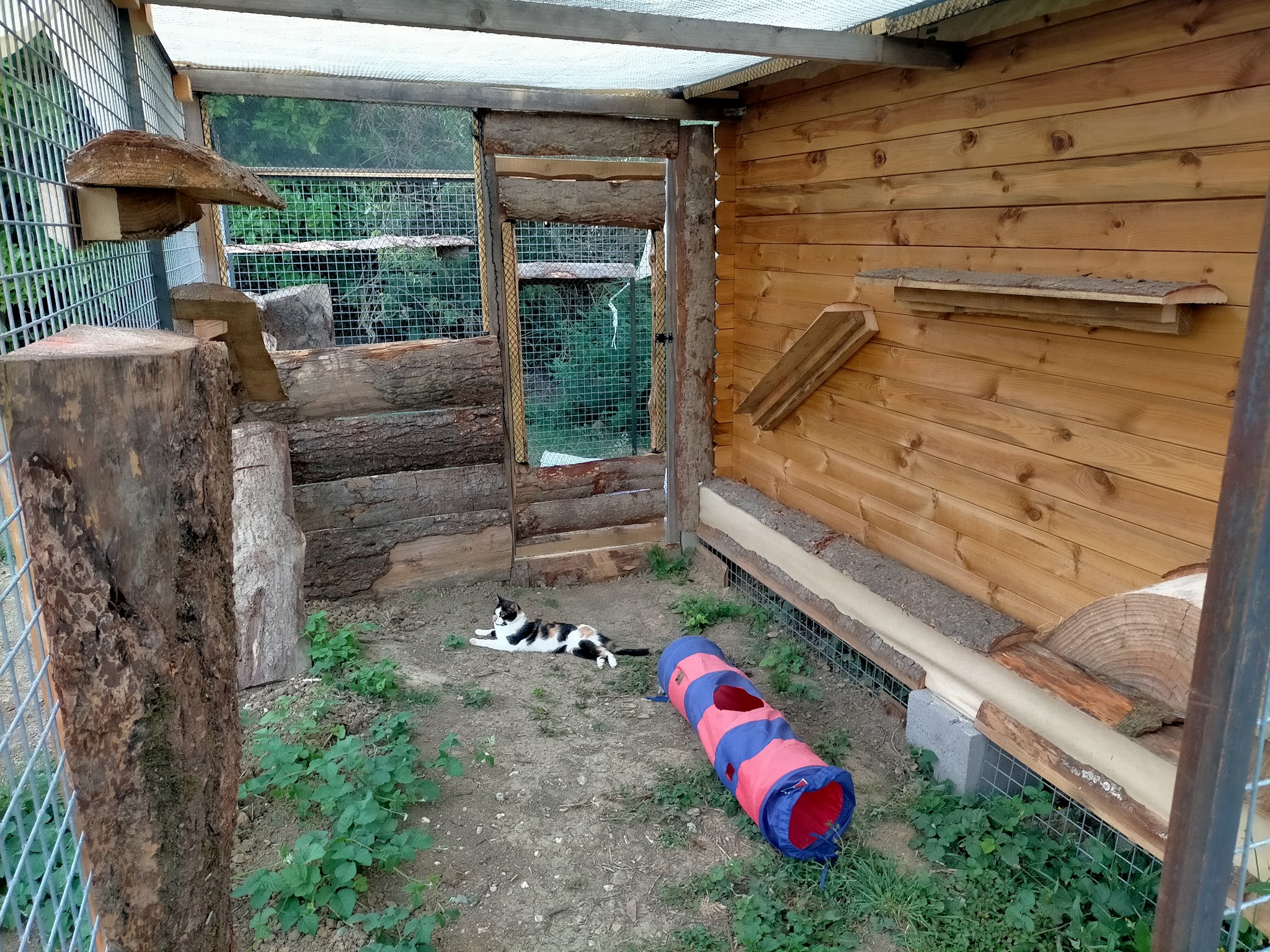 Vacanzanimaux — photo