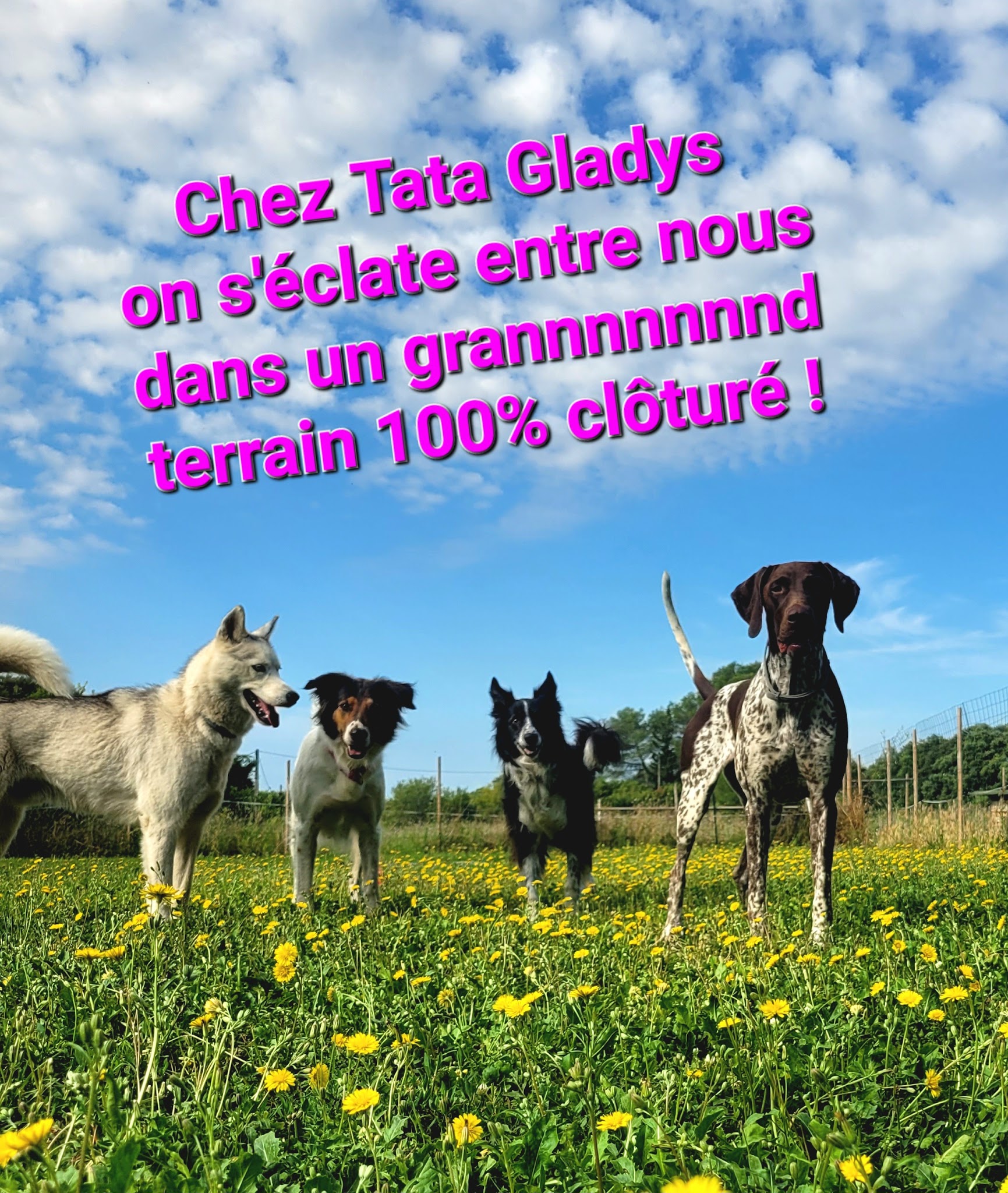 Chez Tata Gladys — photo