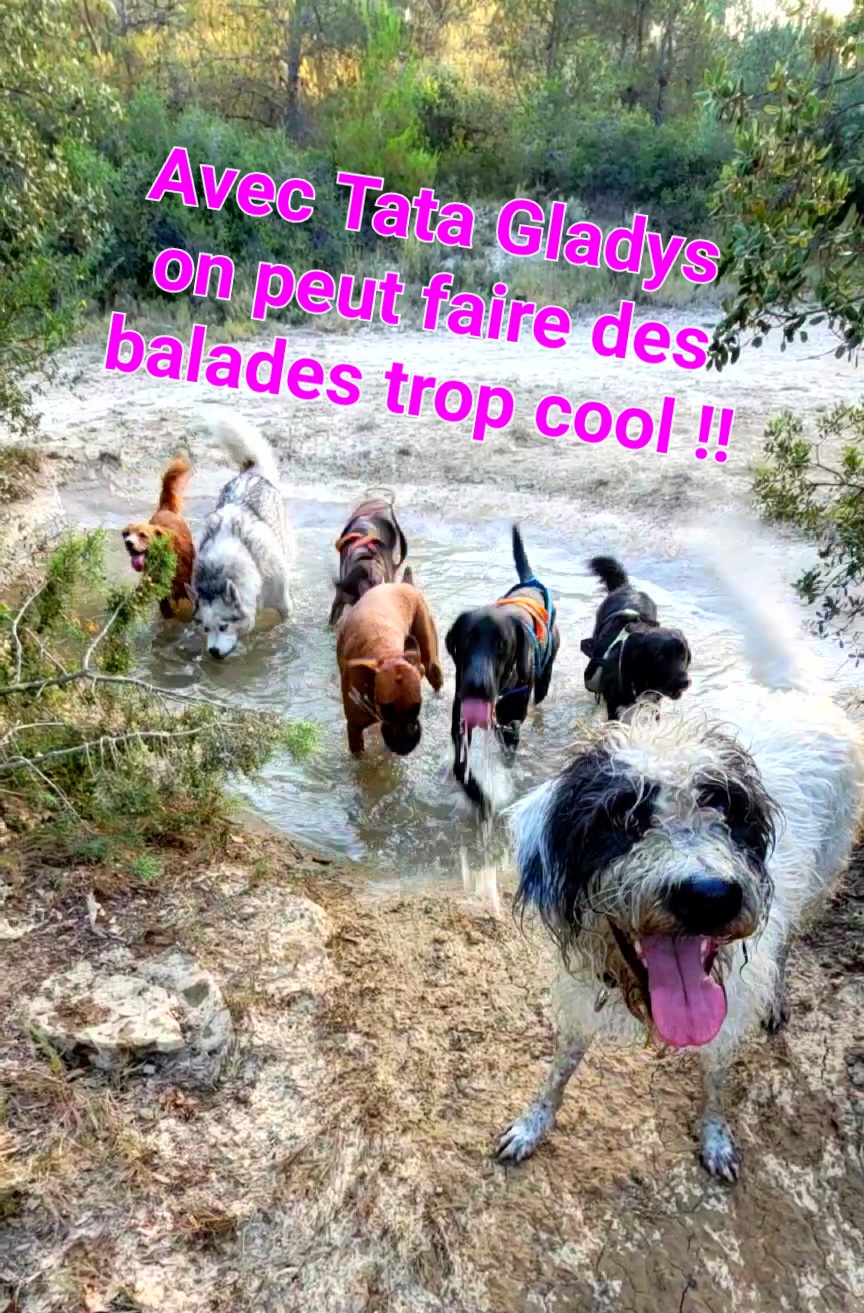 Chez Tata Gladys — photo