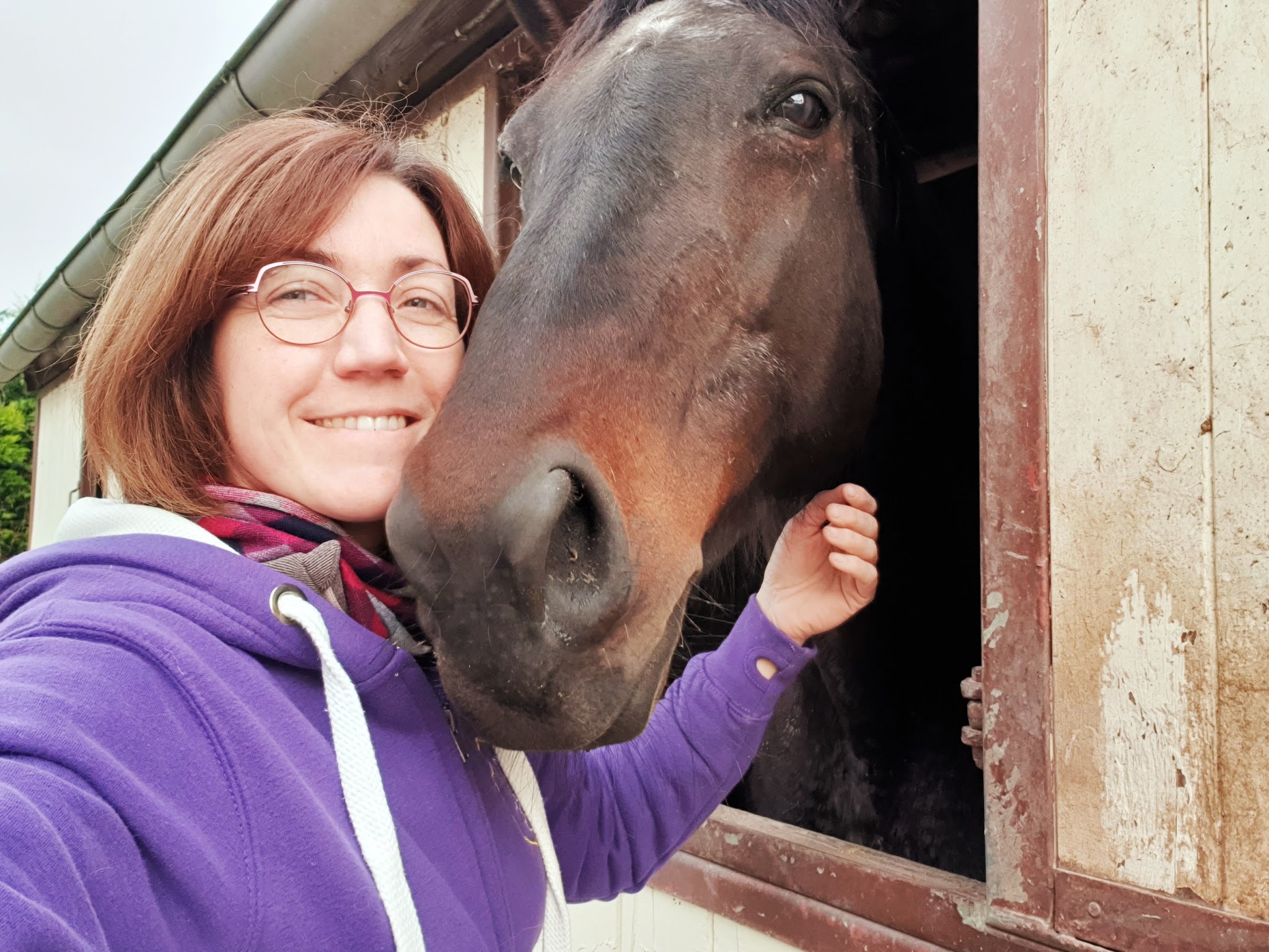 Héloïse Animaux Services