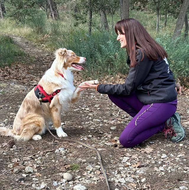 FUN CLUB Binôme Canin - Comportementaliste Canin - Education - Sports & Loisirs - Balades - Centre aéré - Formations — photo