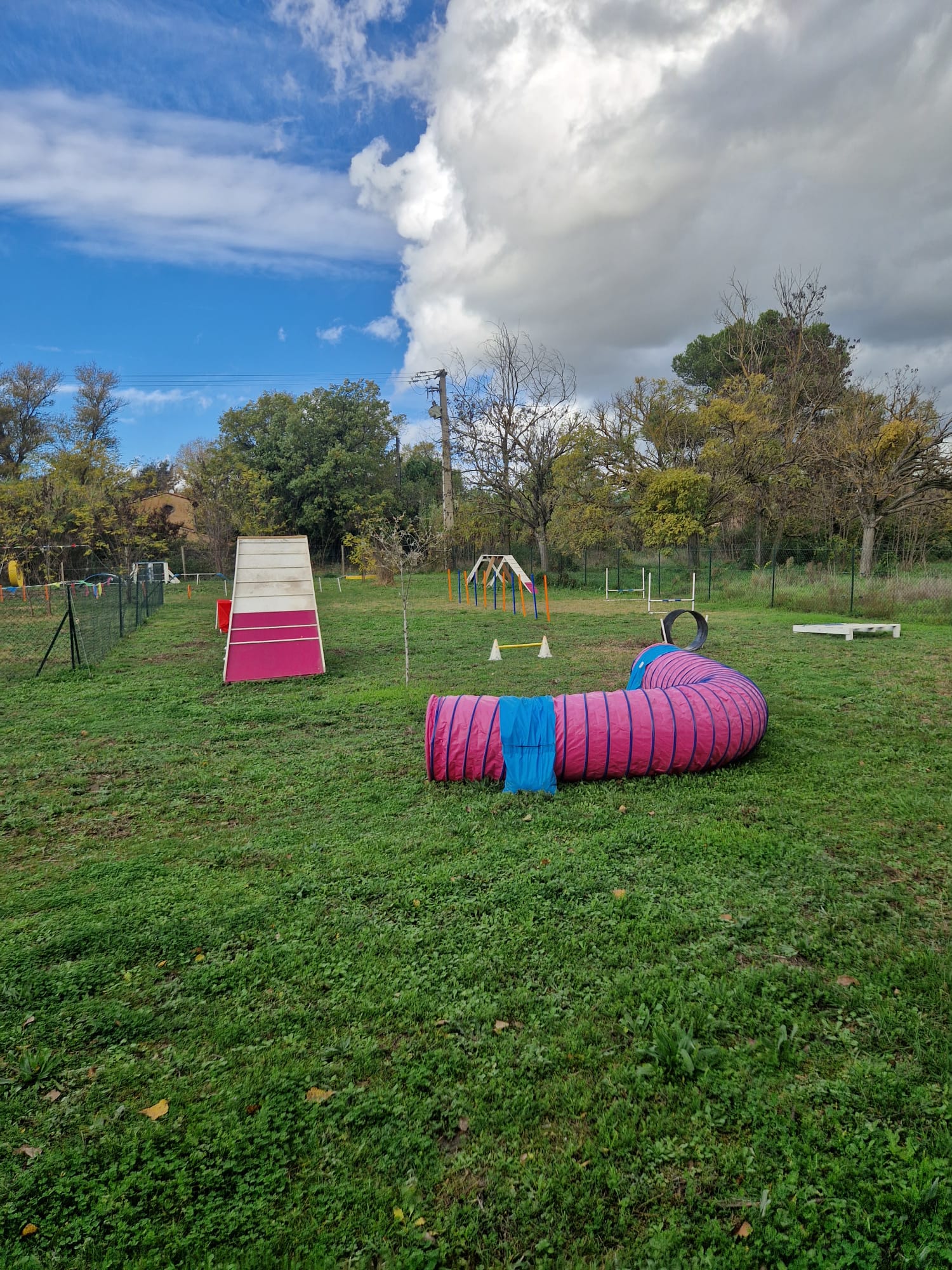 FUN CLUB Binôme Canin - Comportementaliste Canin - Education - Sports & Loisirs - Balades - Centre aéré - Formations — photo