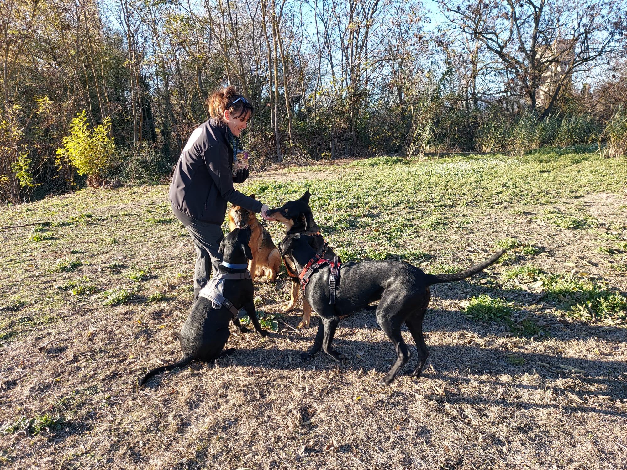 FUN CLUB Binôme Canin - Comportementaliste Canin - Education - Sports & Loisirs - Balades - Centre aéré - Formations — photo
