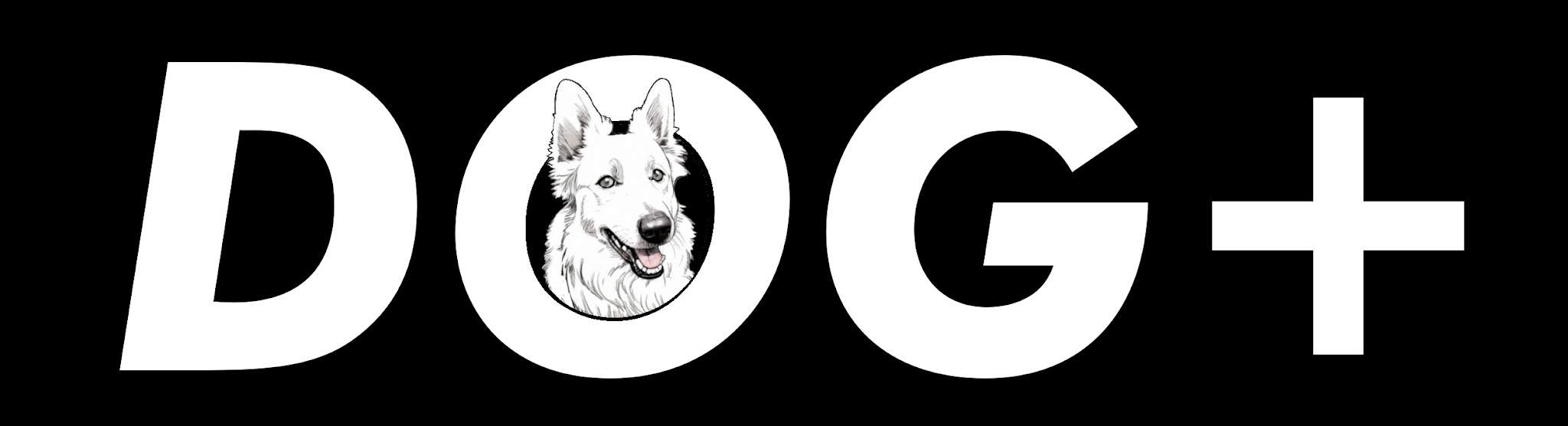 Éducation canine Dog+ ● Éducateur comportementaliste canin ● — photo