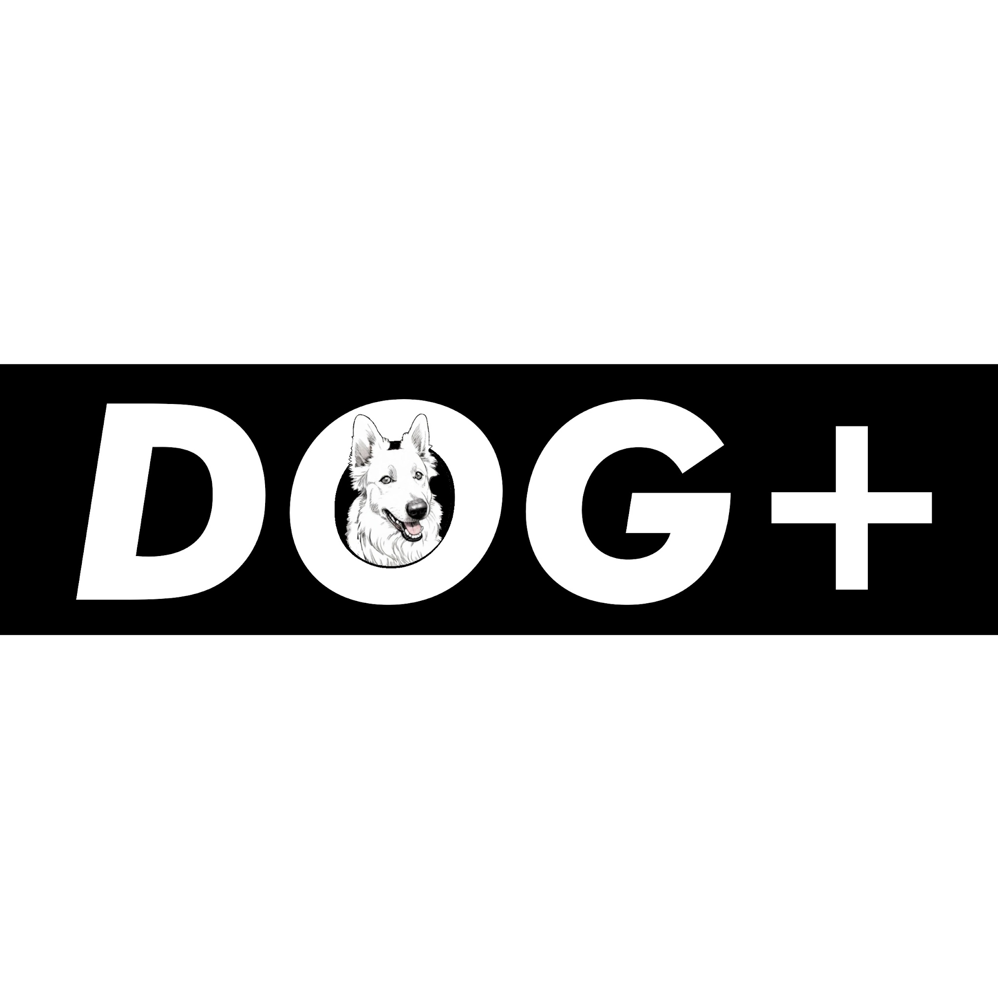 Éducation canine Dog+ ● Éducateur comportementaliste canin ● — photo